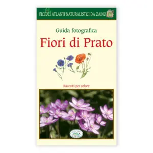 Guida fotografica Fiori di Prato