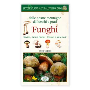 Funghi