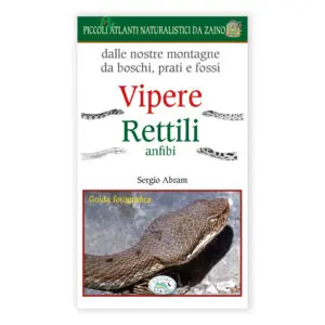 Vipere Rettili Anfibi