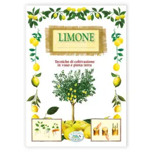 Limone