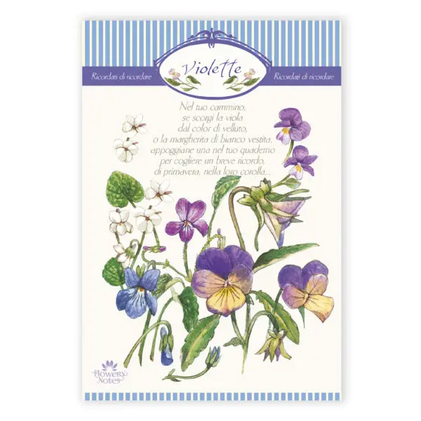 Flowery notes Violette