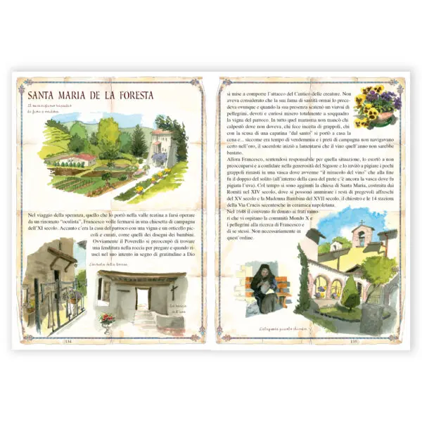 In cammino con Francesco - immagine 3