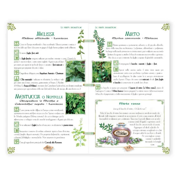 Herbarium delle aromatiche - immagine 3
