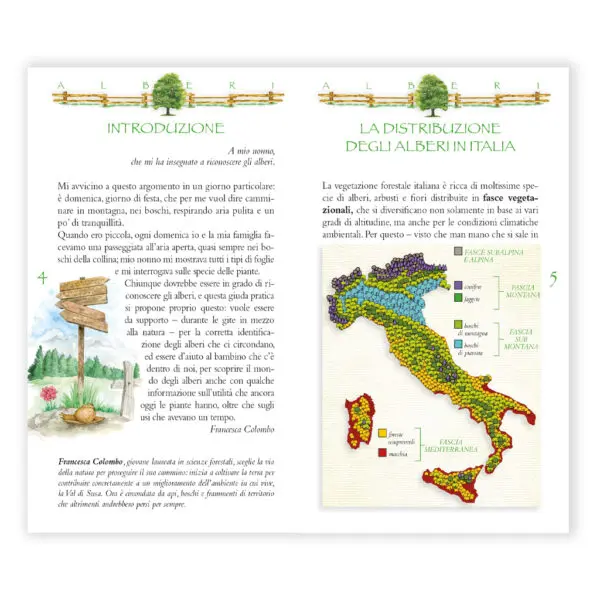 Guida fotografica Alberi delle nostre montagne - immagine 2