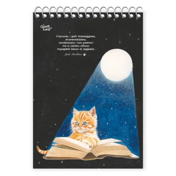 Blocco d'artista Il Gatto e la Luna - immagine 2