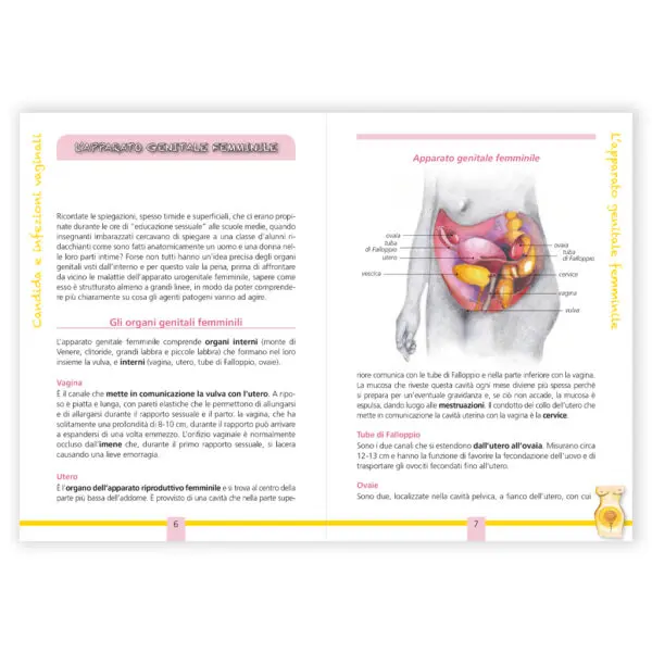 Candida e infezioni vaginali - immagine 2