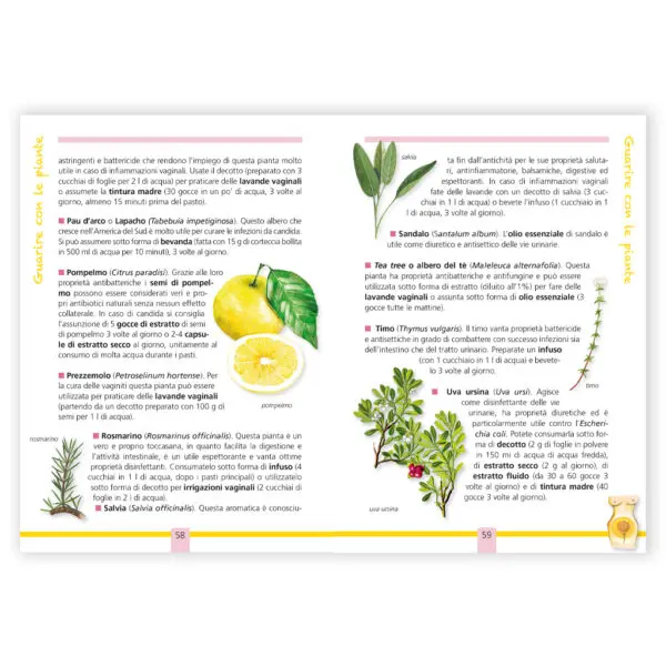 Candida e infezioni vaginali - immagine 3