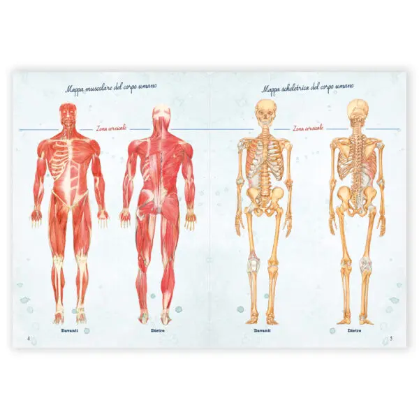 Come curare la Cervicalgia - immagine 2