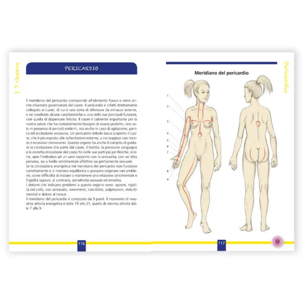 I 7 Chakra con le mappe dei meridiani energetici - immagine 3