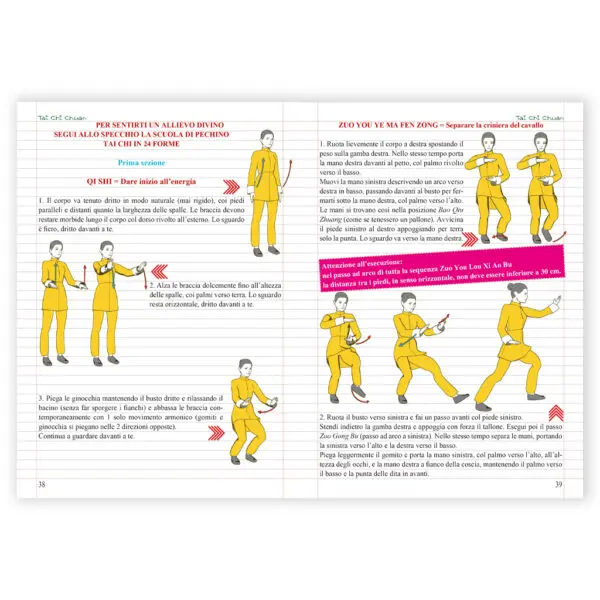 Tai chi - immagine 2