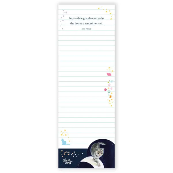 Notes Il Gatto e la Luna - immagine 2