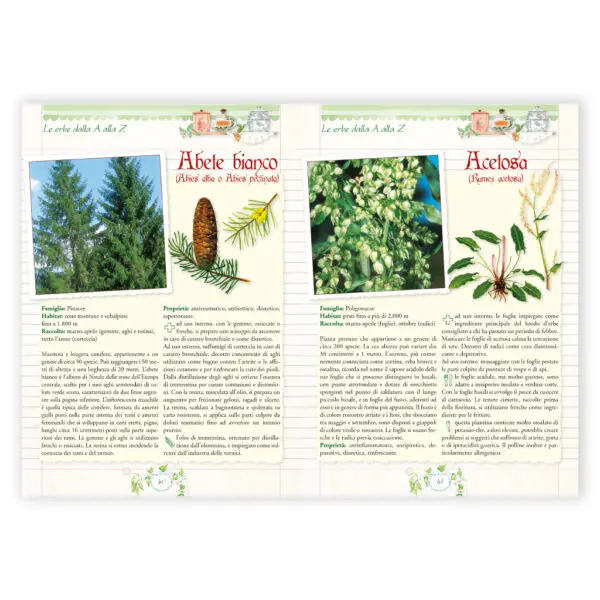 Nuova Enciclopedia delle Erbe - immagine 2