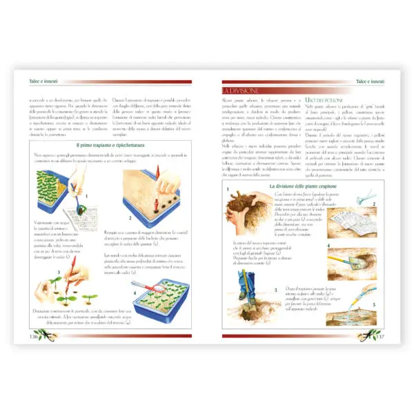 Piccola enciclopedia della Potatura - immagine 3
