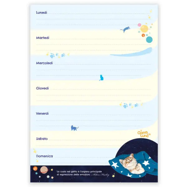 Organizer Settimanale Magnetico Il Gatto e la Luna - immagine 2