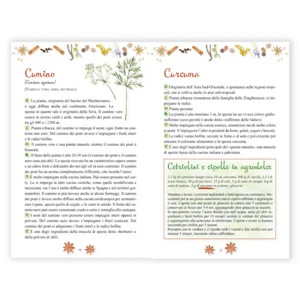 Aromatiche e spezie - immagine 2