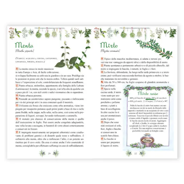 Aromatiche e spezie - immagine 3