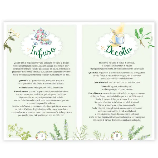 Tisane - immagine 2