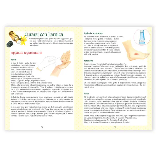 Arnica - immagine 3