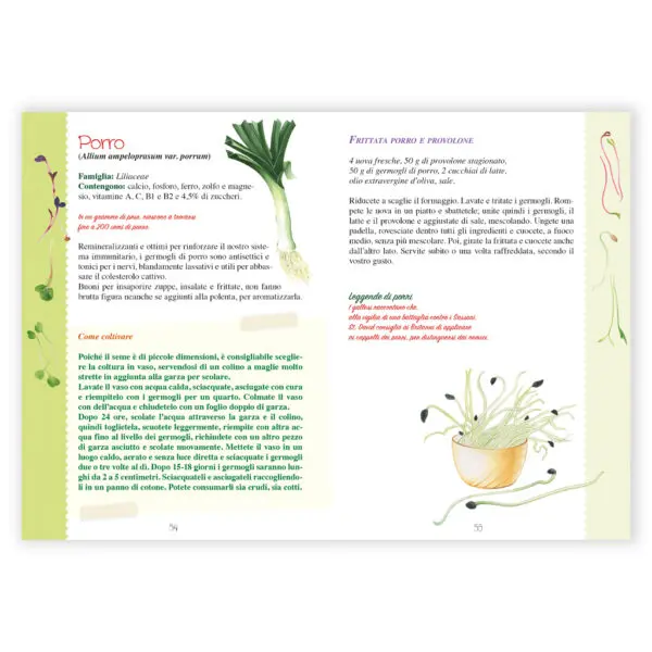 Fare e usare i Germogli - immagine 3
