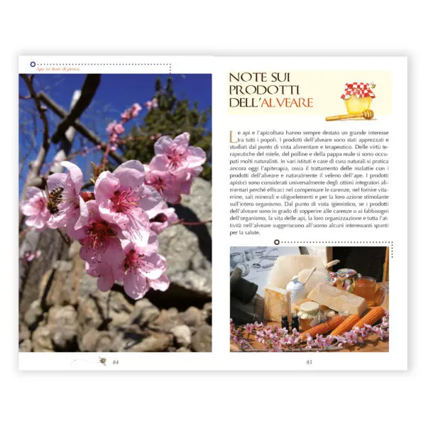 Apicoltura da manuale - immagine 3