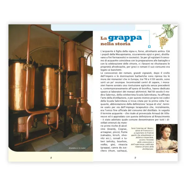 Le tecniche della Distillazione - immagine 2