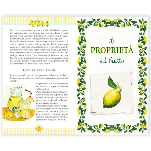 La cura al succo di limone - immagine 2