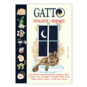 Gatto Domande & Risposte