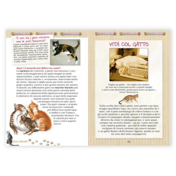 Gatto Domande & Risposte - immagine 2
