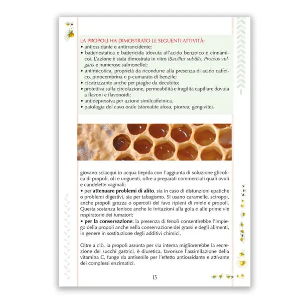 Curarsi con le Api - immagine 2