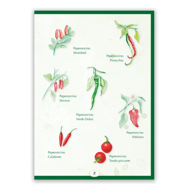 Rosso, piccante, stimolante Peperoncino - immagine 2