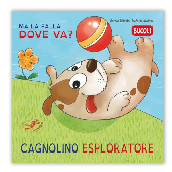 Cagnolino esploratore