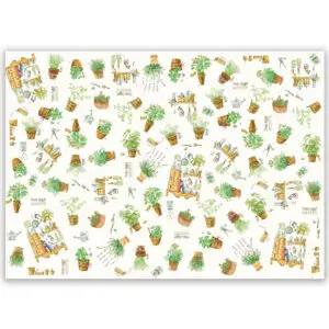 Carta Regalo_Aromatiche