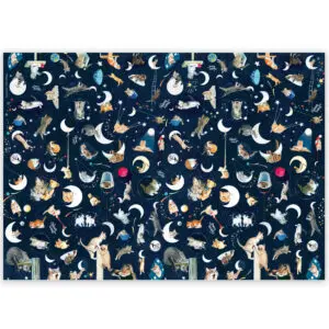 Carta regalo_Gatto e la Luna