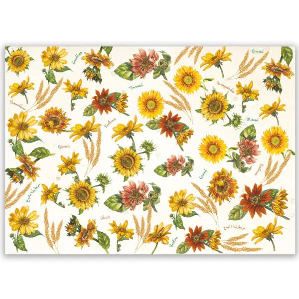 Carta regalo_Girasoli