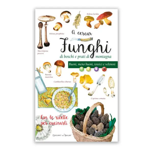 A cercar Funghi