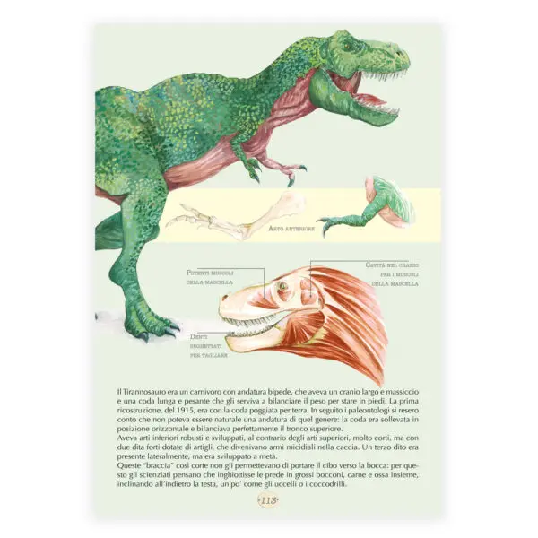 Dinosauri - immagine 3