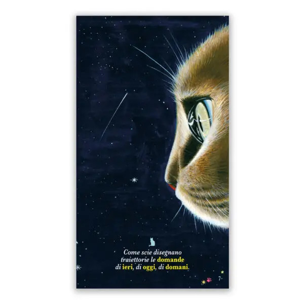 Emozioni feline - Dialoghi e riflessioni... - immagine 2