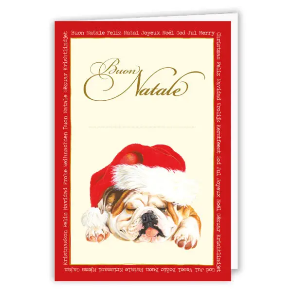 Buon Natale- Cane con berretto