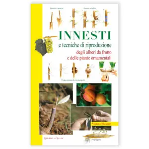 Innesti e tecniche di riproduzione degli alberi da frutto