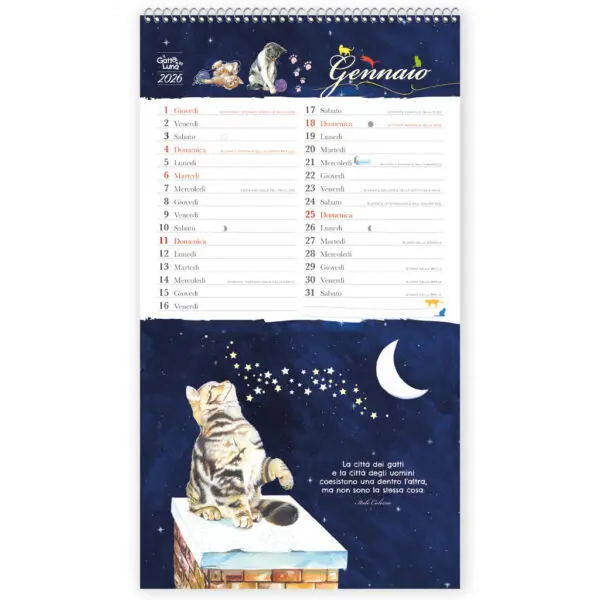 Calendario 2026 - Il Gatto e la Luna - immagine 2