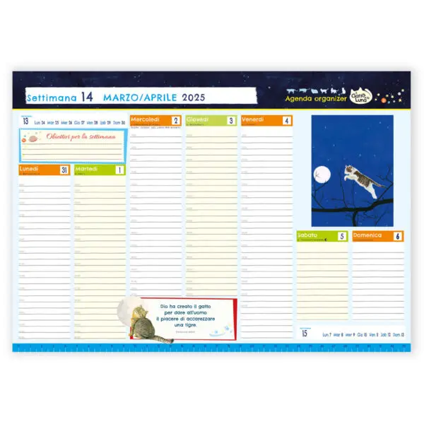 Organizer Io Gatto 2025 - immagine 2