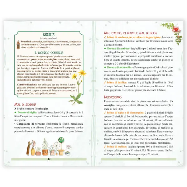Tisane e The - immagine 2
