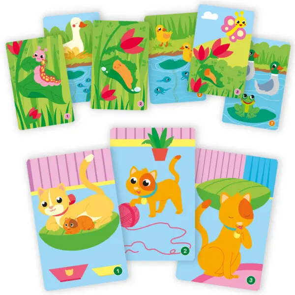 Carte Educative - Il ciclo della vita - immagine 2