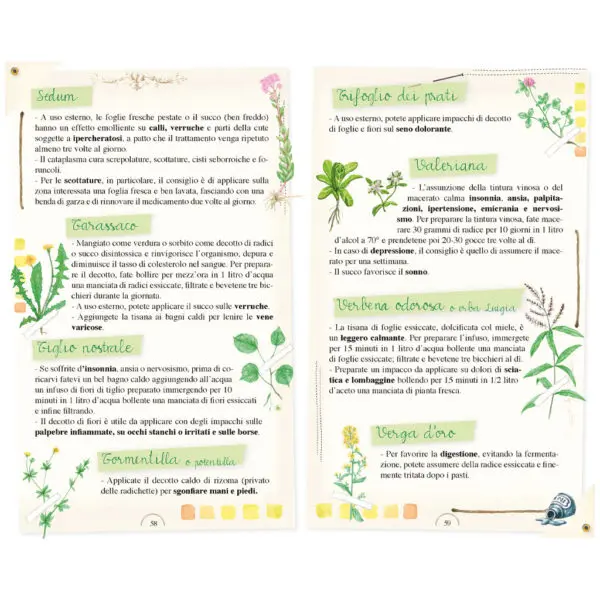 Creme pomate, unguenti e rimedi naturali - immagine 3