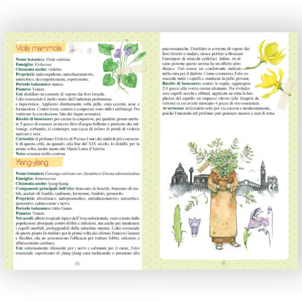 Oli essenziali e Aromaterapia - immagine 3