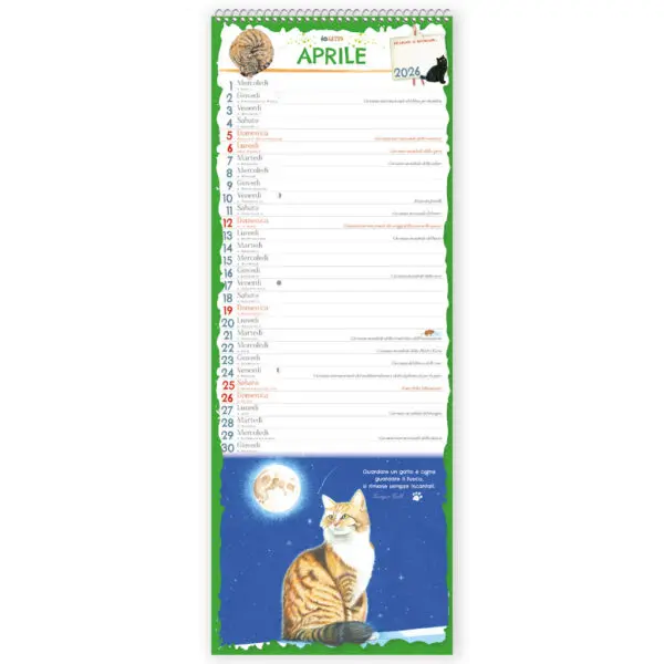 Calendario 2026 - Io Gatto - immagine 2