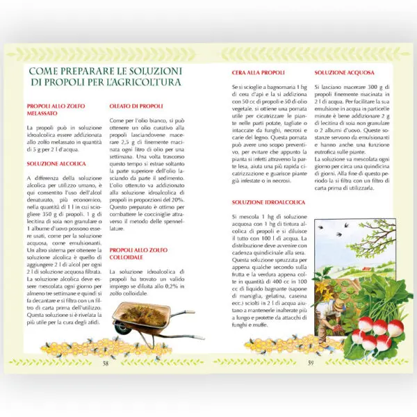 Miele polline propoli pappareale veleno d'api - immagine 3