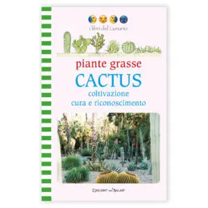 piante grasse Cactus