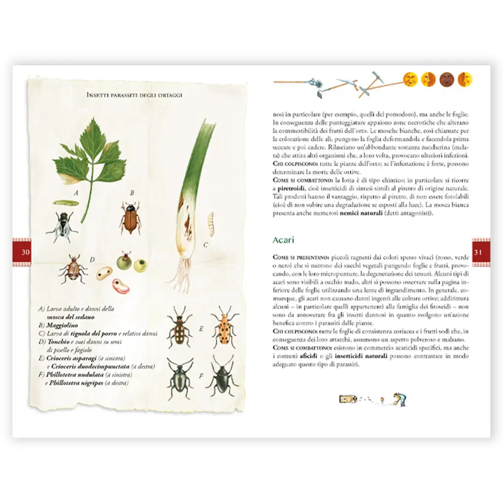 Curare l'Orto con i preparati per la difesa - immagine 3