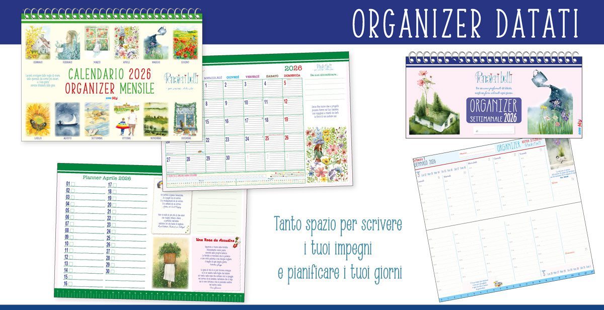 SETT25_BOX-GRA_ORGANIZER